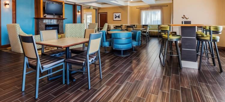 舒适酒店及套房(Comfort Inn & Suites)图片