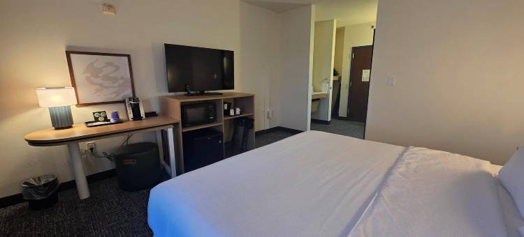 Spark by Hilton Amarillo East图片