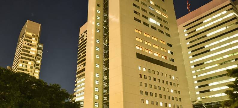 阿祖尔湾畔酒店-竹芝滨松町(Bayside Hotel Azur Takeshiba)图片