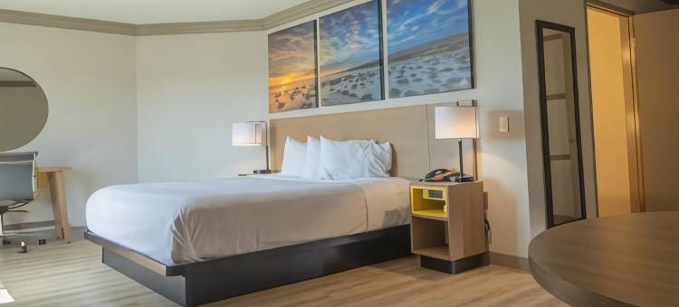 卡尔斯巴德戴斯酒店(Days Inn by Wyndham Carlsbad)图片