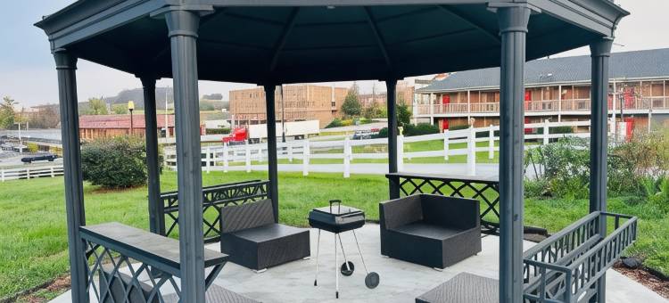 波士顿旅馆(The Boston Inn)图片