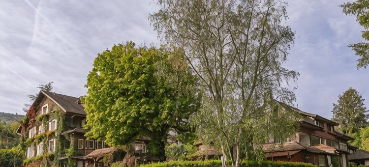 依云维尔尼亚度假酒店(Hôtel La Verniaz - Evian Resort)图片