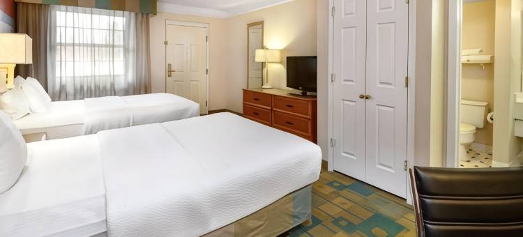 阿马里洛西医疗中心拉昆塔温德姆酒店(La Quinta Inn by Wyndham Amarillo West Medical Center)图片