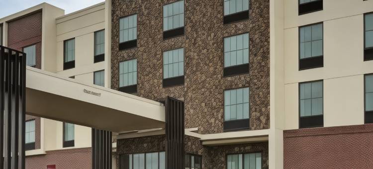 希尔顿花园酒店麦迪逊亨茨维尔机场(Hilton Garden Inn Madison Huntsville Airport)图片