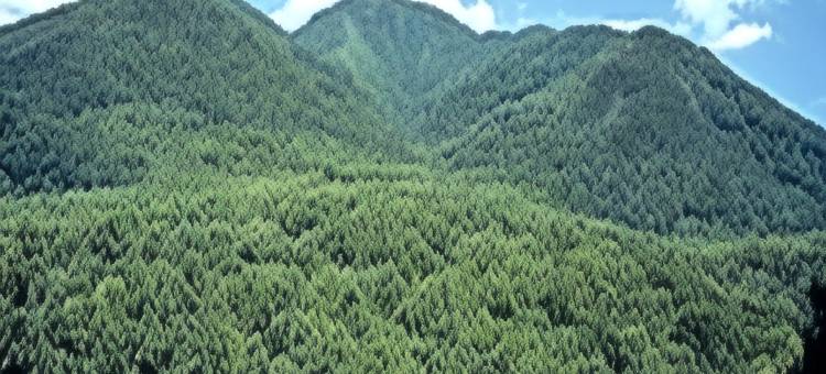 托尼贝斯特韦斯特酒店(Best Western Toni Inn)图片