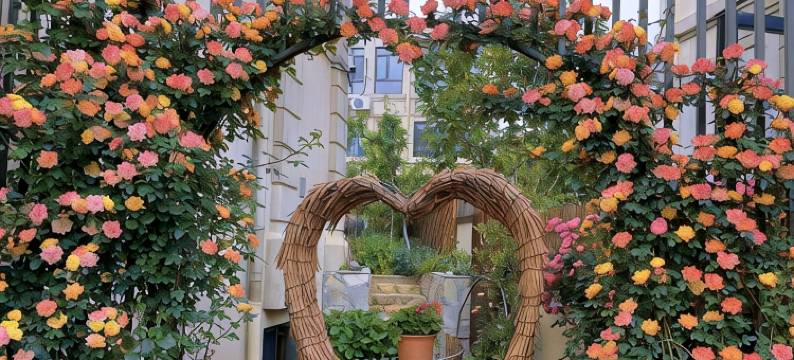 绿姥姥度假别墅(海滨东路1号分店)图片