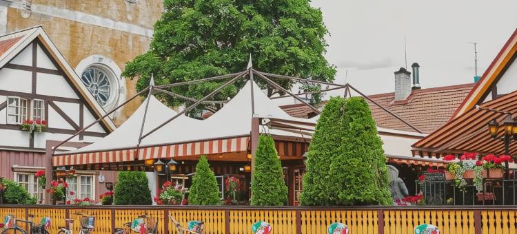 帕尔努的鲍勃W(Bob W Pärnu)图片