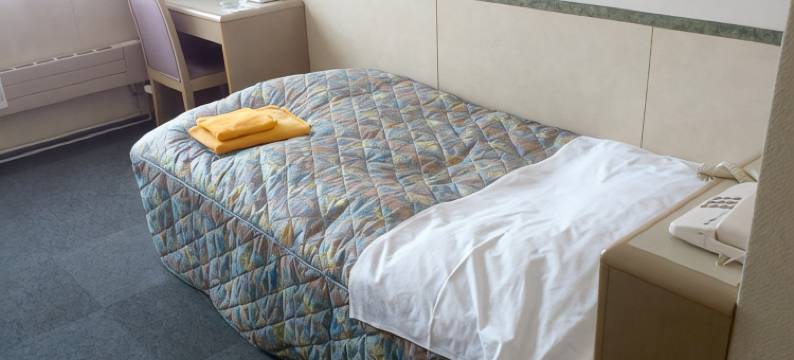 中野摩托商务酒店(Business Hotel Motonakano)图片