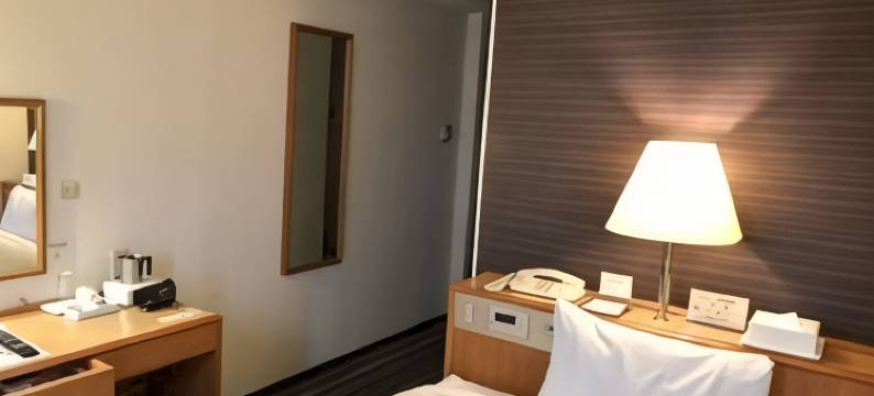 千岁第一酒店(Chitose Daiichi Hotel)图片