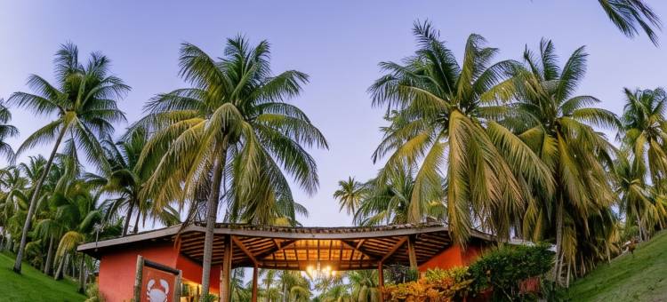 帕塔厝卡斯酒店(Patachocas)图片