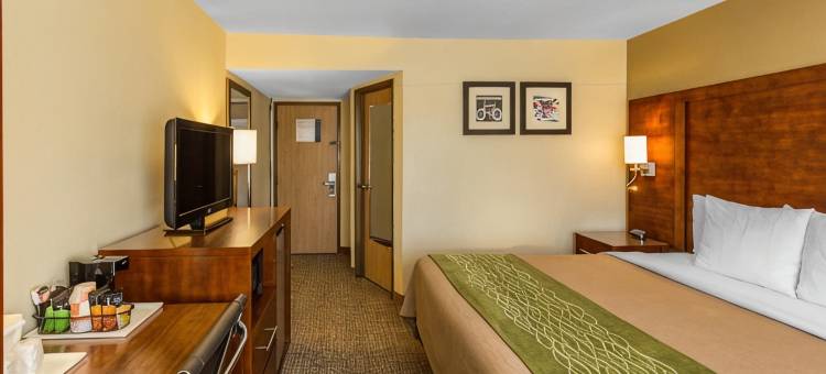 北威奇托福尔斯舒适酒店(Comfort Inn Wichita Falls North)图片