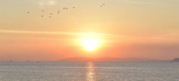 厦门sunrise日初民宿图片