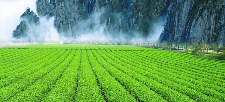 花筑·六阅茶也·枕山聆溪美宿(武夷山店)图片