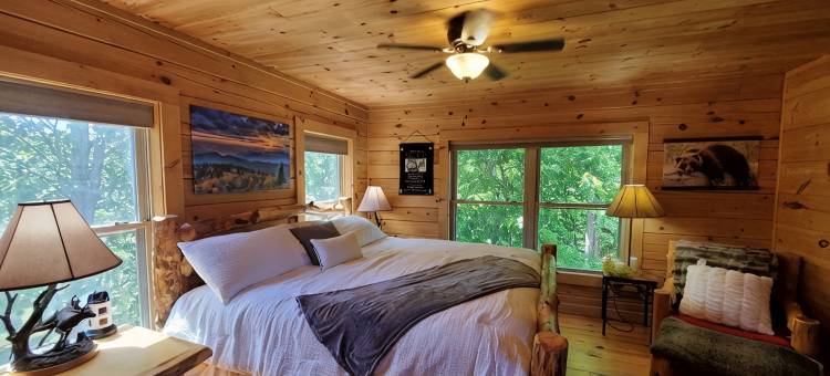 Private Stunning Mtn Views LogCabin Jetted Tub EV Charger Wifi 15 Min-Lake James图片