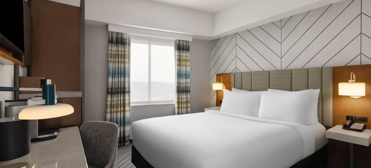 Hampton Inn Long Island City NY图片
