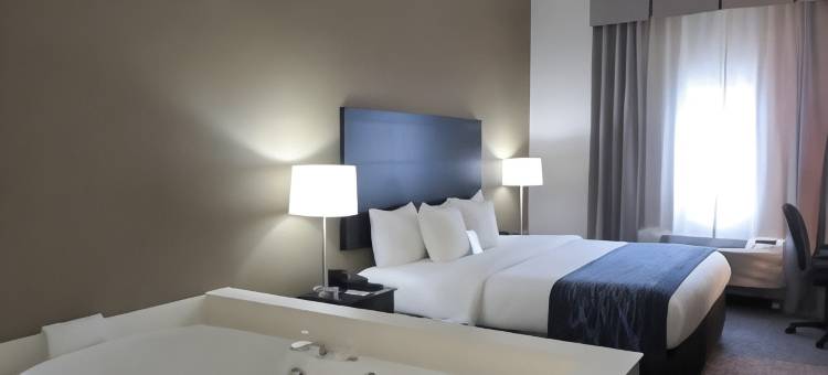 舒适酒店(Comfort Inn)图片