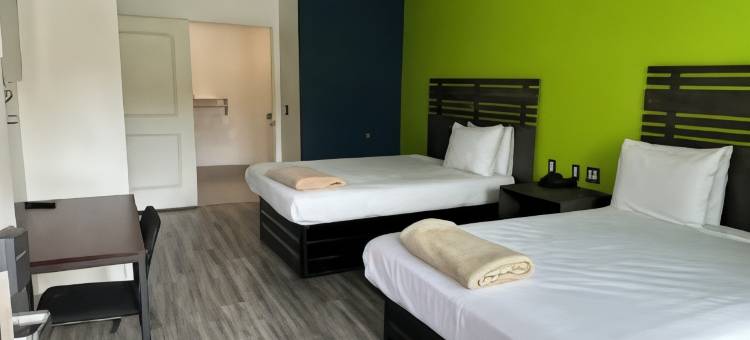 休斯顿格林斯波恩特签名酒店(Signature Inn Houston Greenspoint)图片