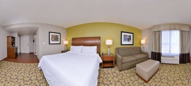 印第安纳波利斯卡梅尔希尔顿花园酒店(Hilton Garden Inn Indianapolis/Carmel)图片