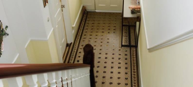 湖边(The Lakeside)图片