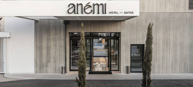 阿内密套房酒店(Anemi Hotel & Suites)图片