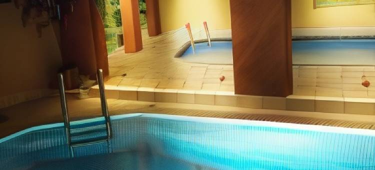 金厨酒店(Logis Hôtel Restaurant Au Cerf d'Or)图片