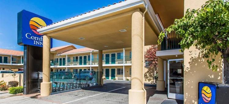 舒适酒店-海滩/栈道区(Comfort Inn Boardwalk)图片