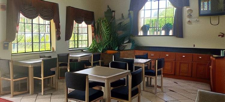 斯塔福德舒格兰地区速8酒店(Super 8 by Wyndham Stafford Sugarland Area)图片