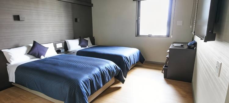 利夫马克斯高级天然温泉酒店-姬路站南店(HOTEL LiVEMAX PREMIUM Himejieki-Minami)图片