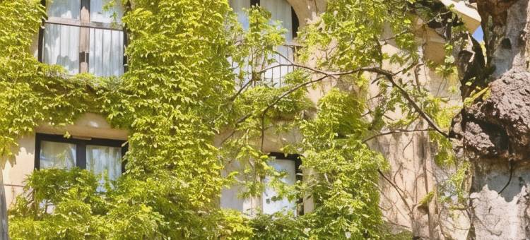 洛吉斯酒店诺米斯格拉迪尼昂(Logis Hotel Noemys Gradignan)图片