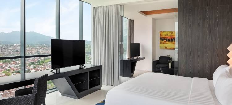 楠榜诺富特酒店(Novotel Lampung)图片