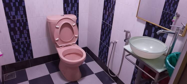 瓜拉比拉双堡民宿(Twin Castle Homestay Kuala Pilah)图片