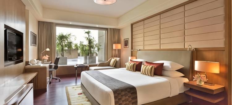 印多尔丽笙酒店(Radisson Blu Hotel, Indore)图片