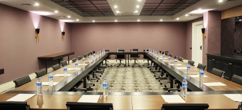 瑞欧水疗酒店(Reo Hotel Spa - Ex Pacco Hotel)图片