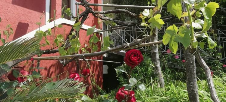 马达莱娜斯民宿(Madalenas B&B)图片
