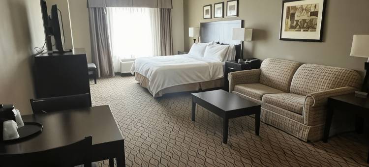 智选假日套房酒店戴明MIMBRES谷(Holiday Inn Express & Suites Deming Mimbres Valley)图片