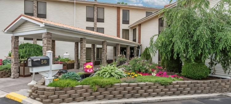 舒适酒店(Comfort Inn)图片