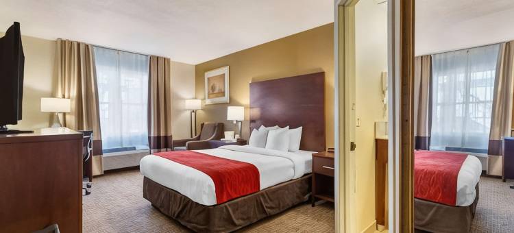 奥本-伍斯特舒适酒店(Comfort Inn Auburn-Worcester)图片