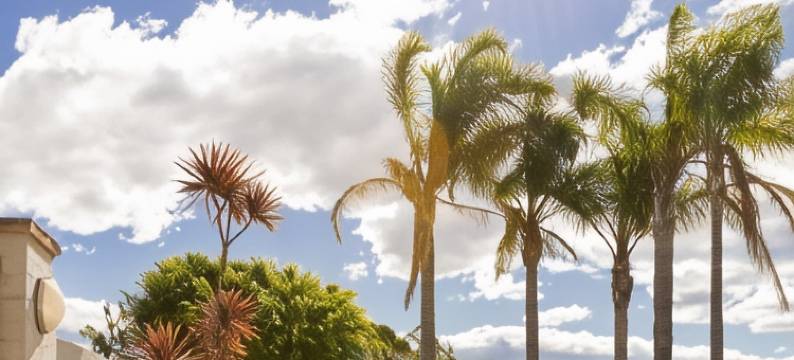 圣西克汽车旅馆(Sunseeker Motor Inn)图片