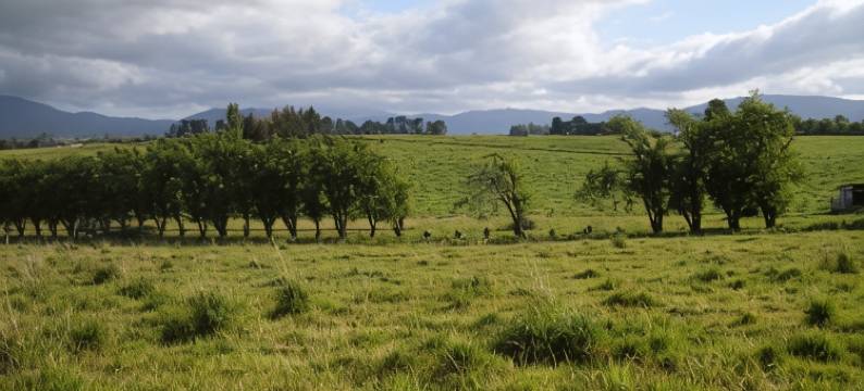 贝拉别墅公寓(Bella Villa)图片