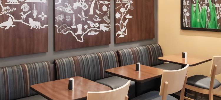 达拉斯拉斯科林纳斯万豪TownePlace酒店(TownePlace Suites Dallas Las Colinas)图片