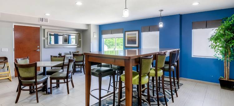 斯丹顿东凯隆波因特酒店(Clarion Pointe Staunton East)图片