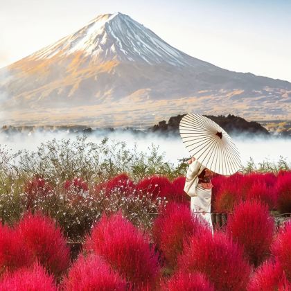 日本东京+富士山+箱根5日4晚拼小团