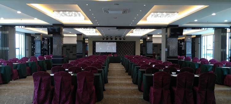 林塔斯白金酒店(Lintas Platinum Hotel)图片