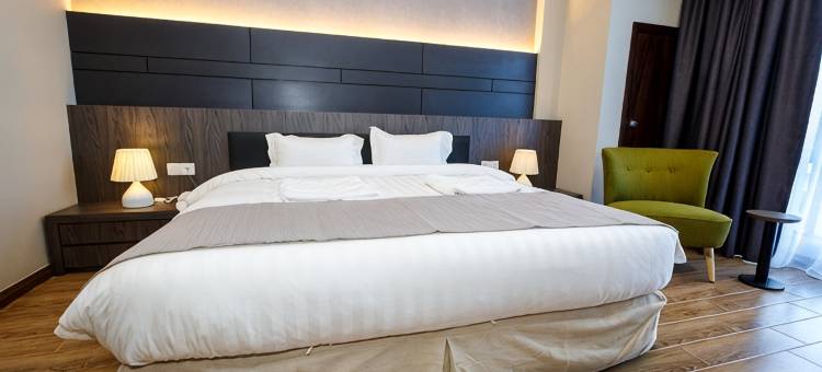 林塔斯白金酒店(Lintas Platinum Hotel)图片