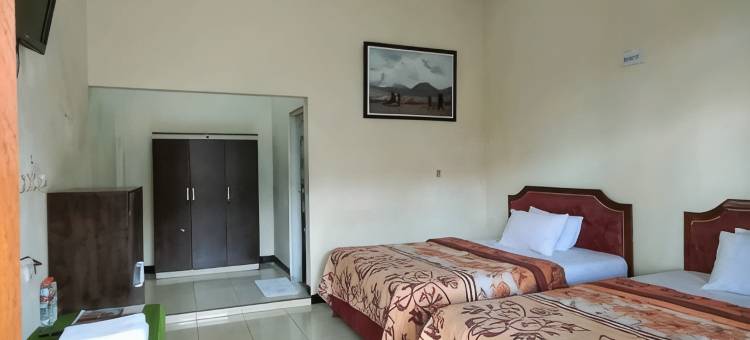 纳迪亚布洛莫酒店(Hotel Nadia Bromo)图片