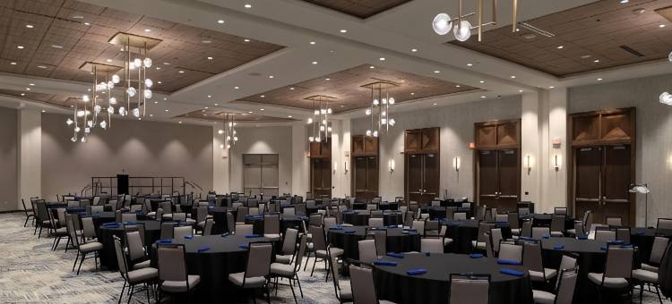 麦坎姆利广场酒店(DoubleTree by Hilton Battle Creek)图片