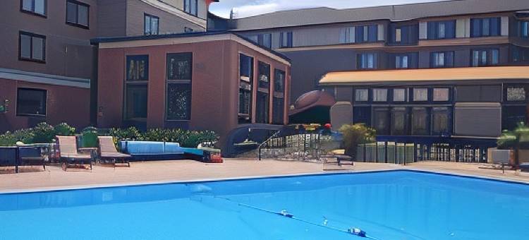 伯灵顿南舒适套房酒店(Comfort Inn & Suites)图片