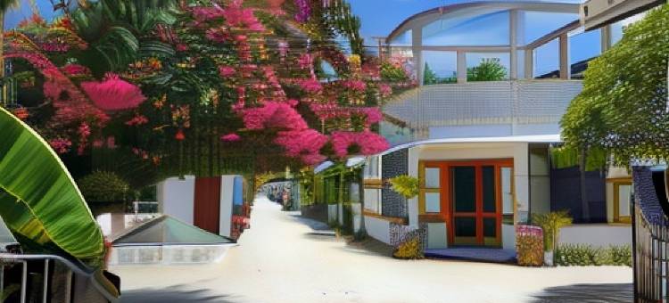 马尔代夫海滩乐园-海洋氛围旅馆(Beach Heaven Maldives - Golden Turtle Guest House)图片