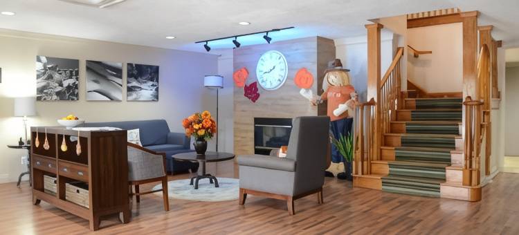 杰克逊维尔丽怡酒店(Country Inn & Suites by Radisson, Jacksonville, FL)图片