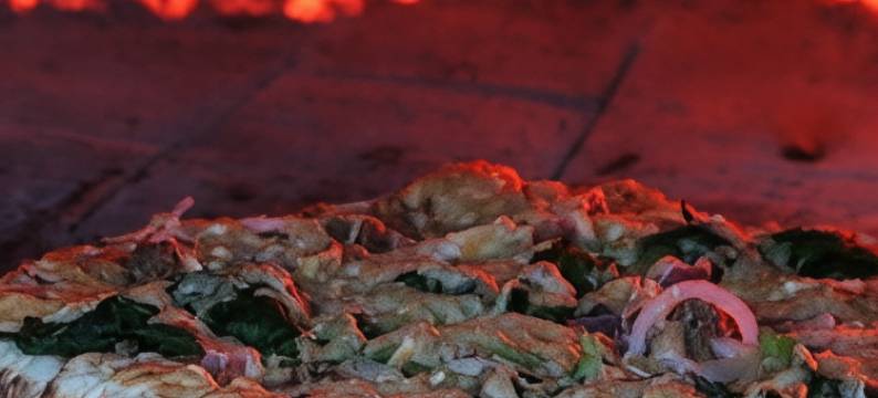 婴猴旅馆(Bushbaby Lodge)图片